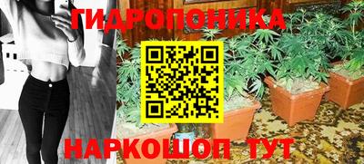 mdma Новодвинск