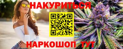 сатива Новозыбков