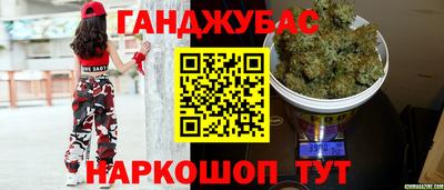 сатива Новозыбков